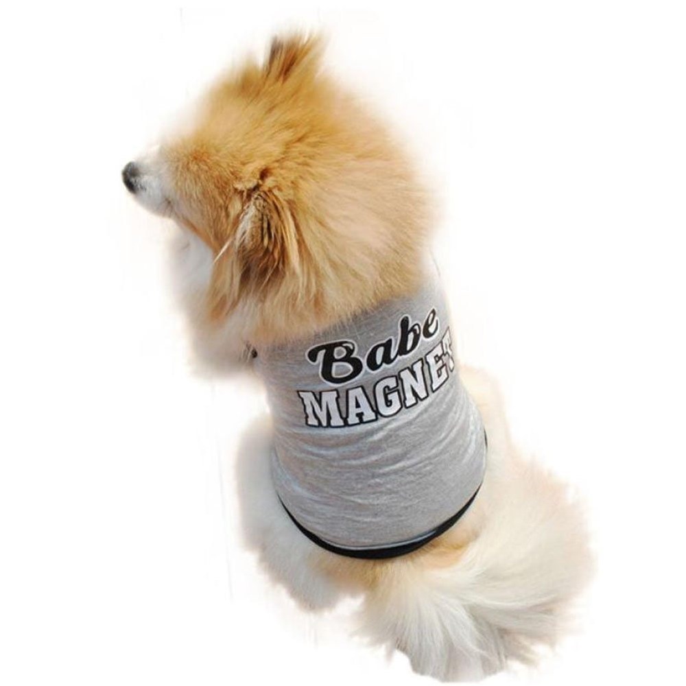Babe Magnet Dog Tank Top Heather‎ Grey Funny Graphic Pet Shirt Ringer Vest Large